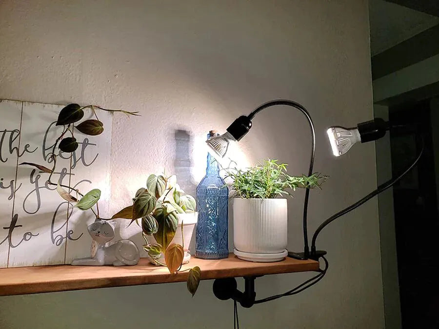 Sansi Three Head Clip-on Grow Light mit Timer, 3 x 10 W