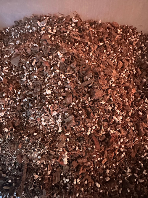 Chunky Substratmix Zimmerpflanzenerde