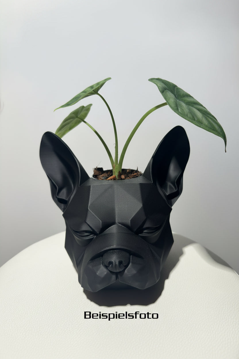 French Bulldog Design Topf