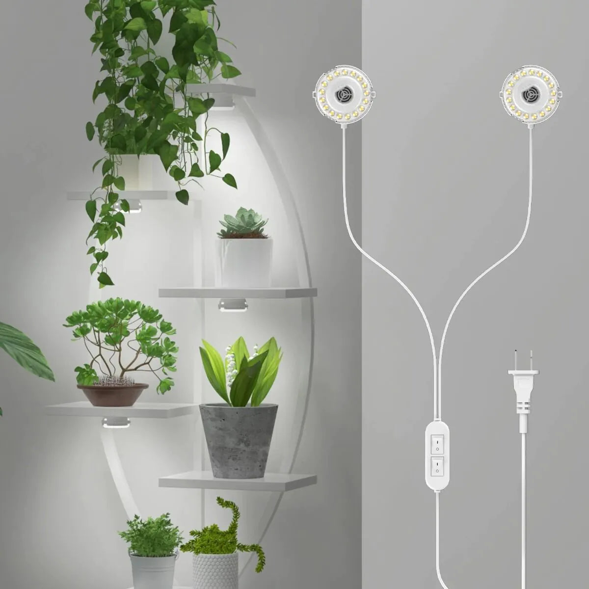 LED Grow Light Dual Head 10 W mit Timer