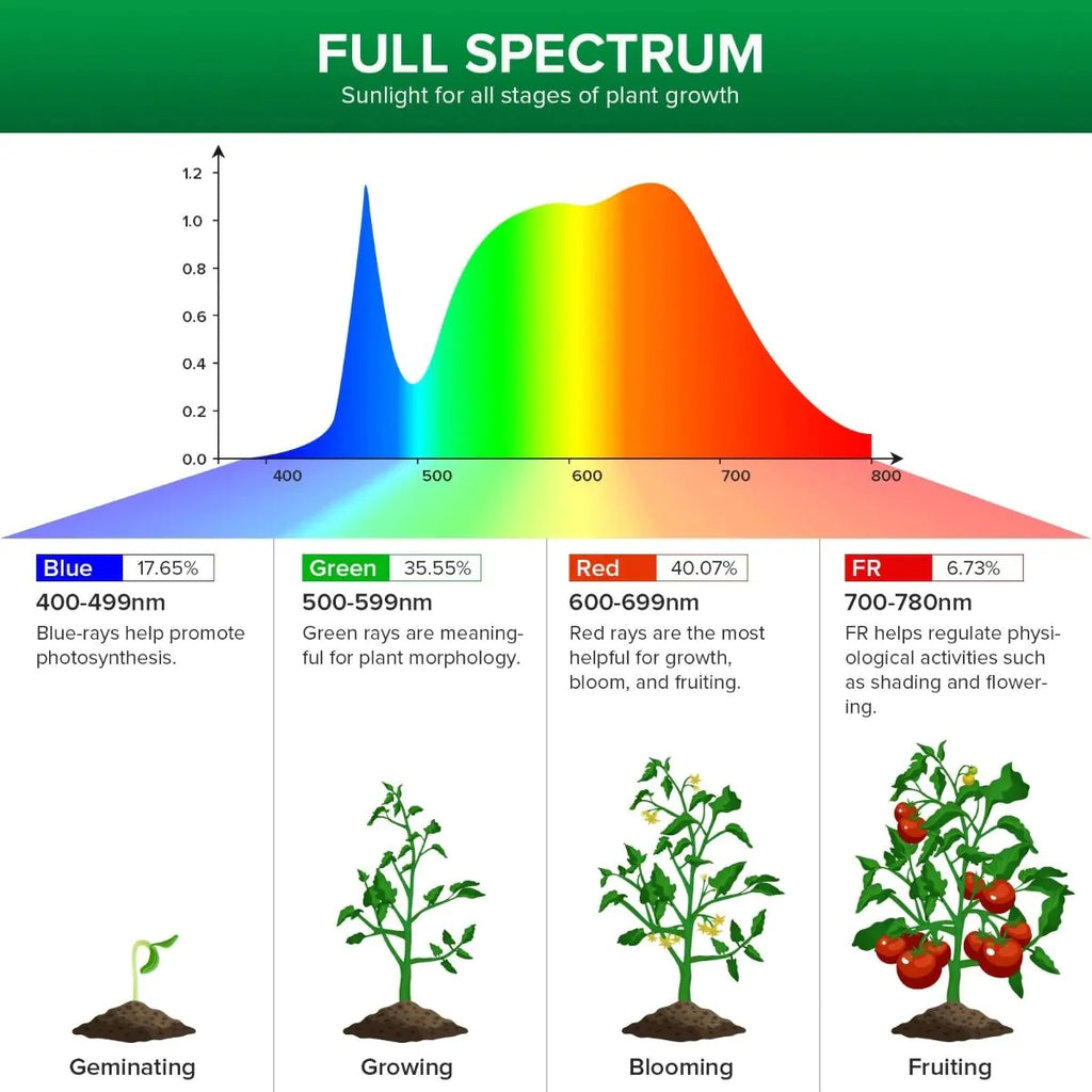 LED Grow Light Dual Head 10 W mit Timer