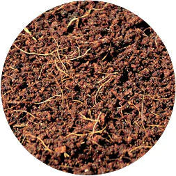 Kokosfasern 11 Liter